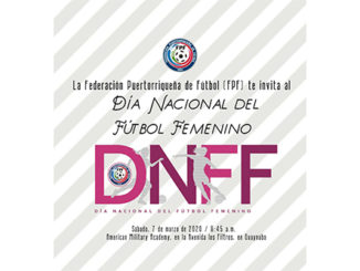 dnff logo