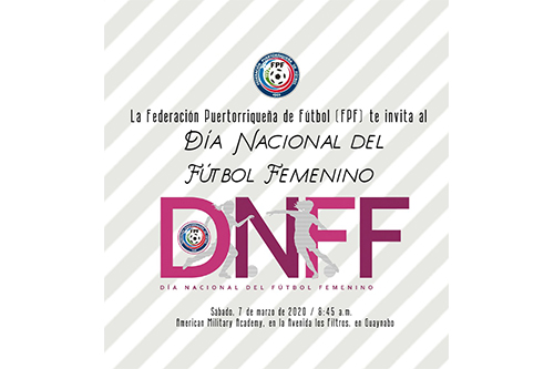 dnff logo