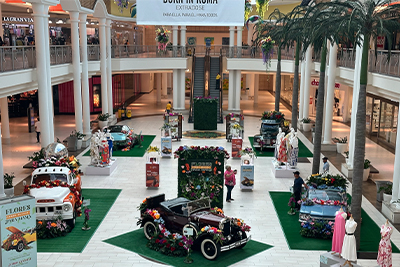 Plaza Del Caribe
