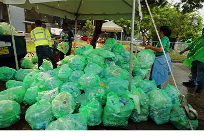 Green Bags